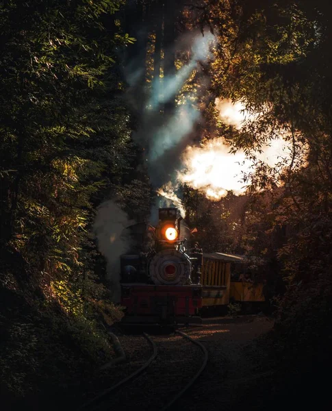 Zug Fährt Wald Von Felton Vereinigte Staaten — Stockfoto