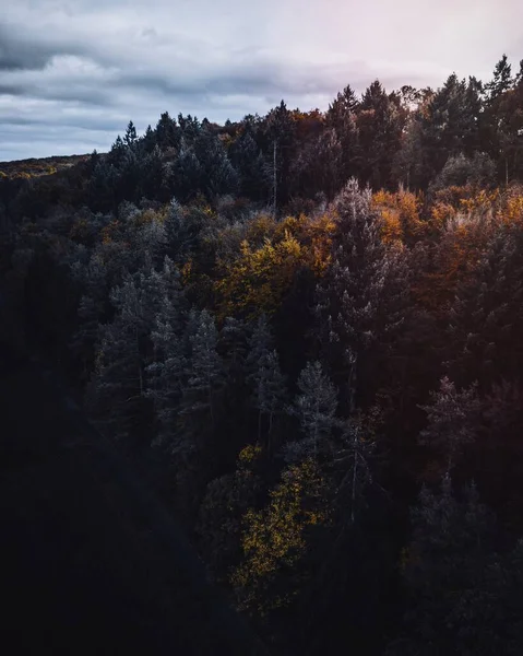 ドイツ シュトゥットガルトの秋の森の空中ビュー — ストック写真