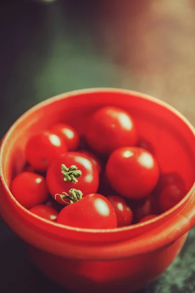 Close Tomates Frescos — Fotografia de Stock