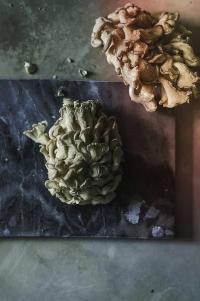 Fresh Oyster Mushrooms Gray Slate — Stock Photo, Image