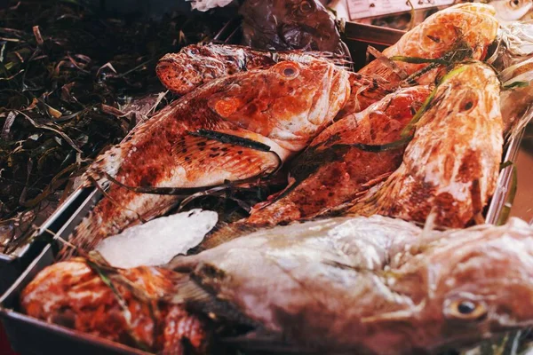 Een Markt Verkochte Vis — Stockfoto
