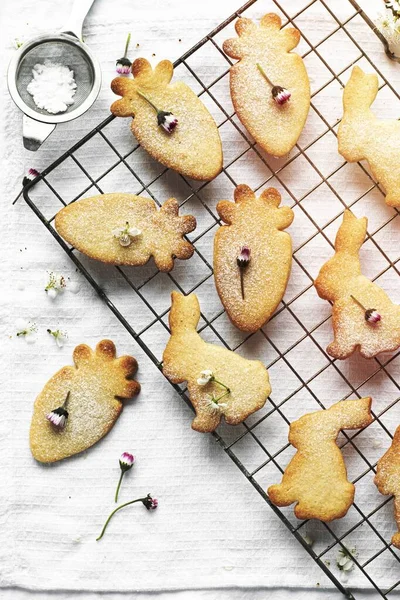 Blanda Hemlagat Socker Kanin Och Morot Cookies Recept — Stockfoto