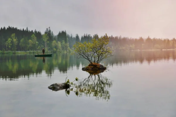 Ilha Lago Hintersee Alemanha — Fotografia de Stock