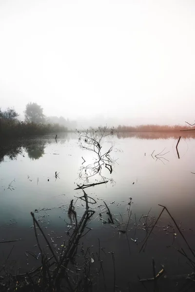 Lago Nebuloso Manhã — Fotografia de Stock