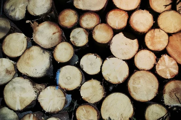 Nahaufnahme Eines Holzstapels — Stockfoto