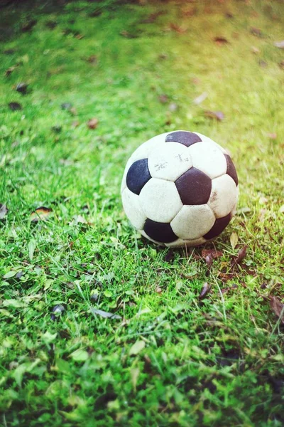 Футбол Газоні — стокове фото