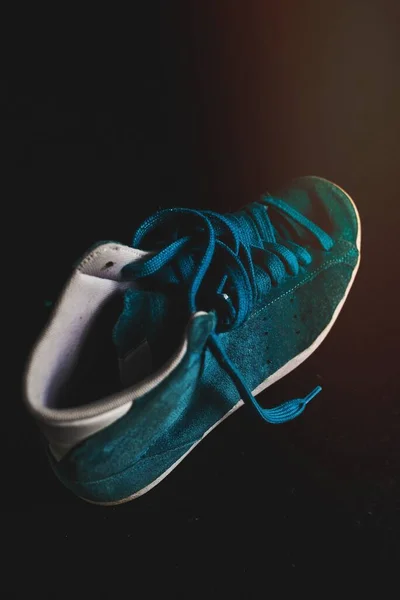 蓝色羊皮运动鞋的封底 — 图库照片