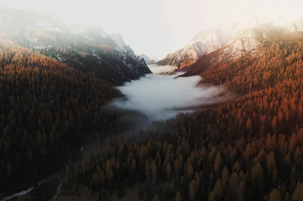 Доломиты Окутанные Туманом Осенью — стоковое фото