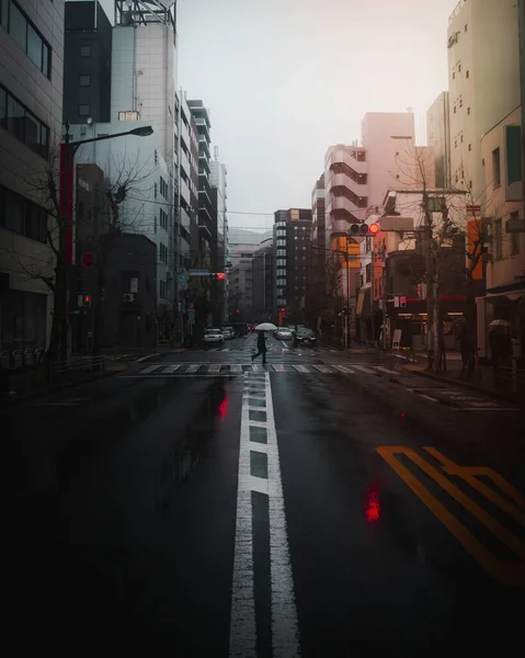 Regenachtige Dag Tokyo Japan — Stockfoto