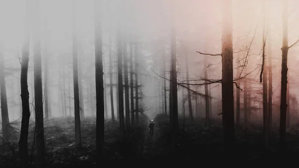 Black White Wallpaper Forest Desktop Background Lonely Mood — Stock Photo, Image