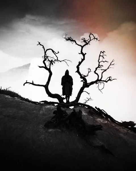 Kurumuş Siyah Ağaçlı Yağmurluk Giyen Bir Adam — Stok fotoğraf