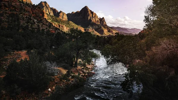Jungfernfluss Zion Nationalpark Utah Usa — Stockfoto