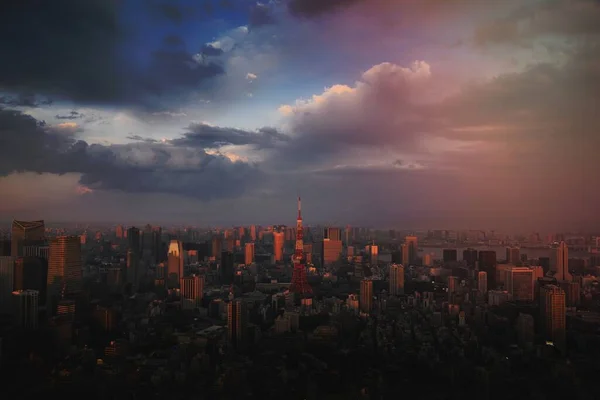 View Downtown Tokyo Japan Drone Photograph — Stock Photo, Image