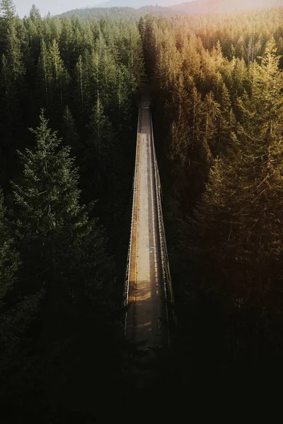 Ponte Sobre Rio Uma Floresta — Fotografia de Stock