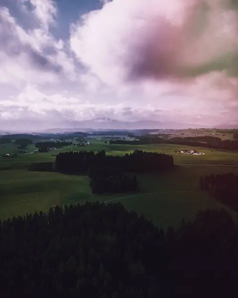 Vista Campos Wald Alemania — Fotografia de Stock