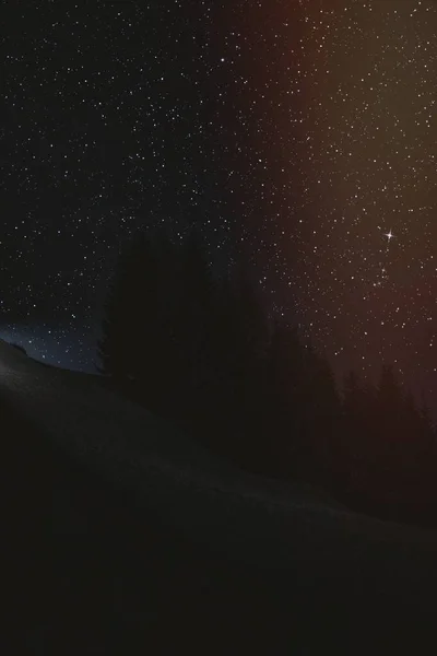 Wald Unter Einem Sternenhimmel — Stockfoto