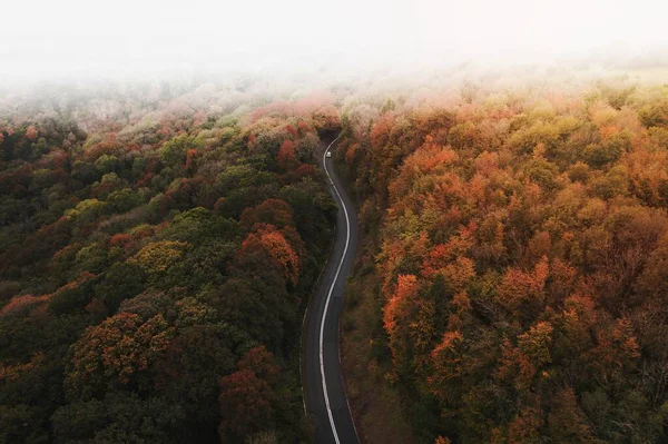 Estrada Através Uma Rota Cênica Outono — Fotografia de Stock
