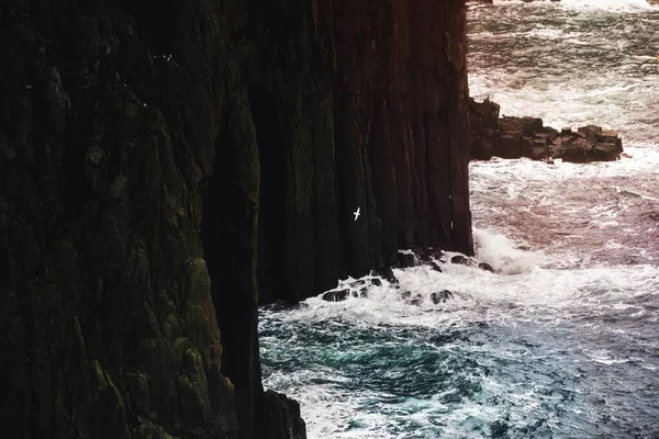 Gannet Letící Poblíž Útesu Ostrově Skye Skotsku — Stock fotografie