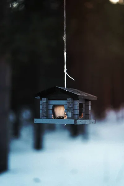 Kışın Ağaçtan Sarkan Küçük Ahşap Kuş Evi — Stok fotoğraf