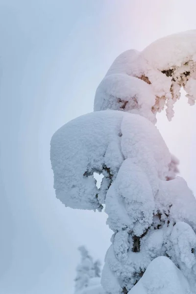 Κλείσιμο Του Τμήματος Ερυθρελάτης Που Καλύπτεται Από Χιόνι Στο Εθνικό — Φωτογραφία Αρχείου