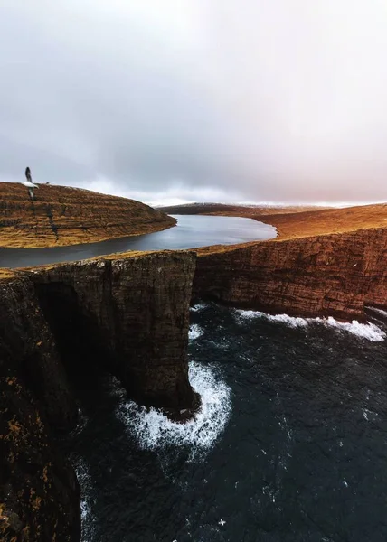 Martı Faroe Adası Ndaki Kayalıkların Üzerinden Uçuyor — Stok fotoğraf