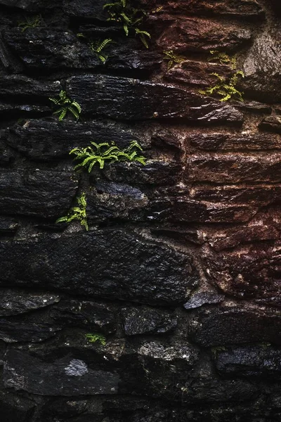 Скеляста Стіна Замок Кілхерн Шотландія — стокове фото