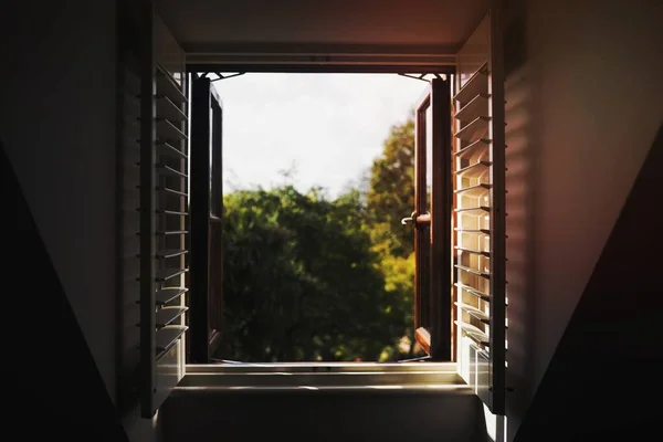 Widok Natury Przez Otwarte Okno Drewniane — Zdjęcie stockowe