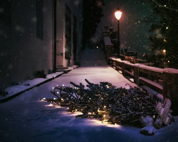Padlý Vánoční Stromek Chodníku Rakouském Traunkirchenu Původní Obraz Veřejné Domény — Stock fotografie