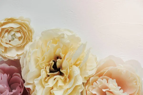 Цветы Пастельного Пиона Ранункула Белом Фоне — стоковое фото