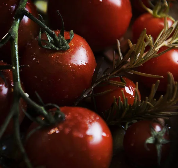 Cherry Tomatoes Rosemary Food Photography Recipe Idea — Stock Photo, Image