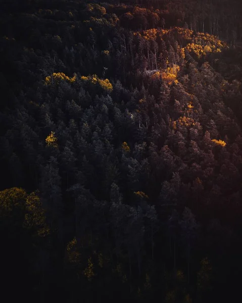 Vista Aérea Schwarzwald Floresta Negra Alemanha — Fotografia de Stock
