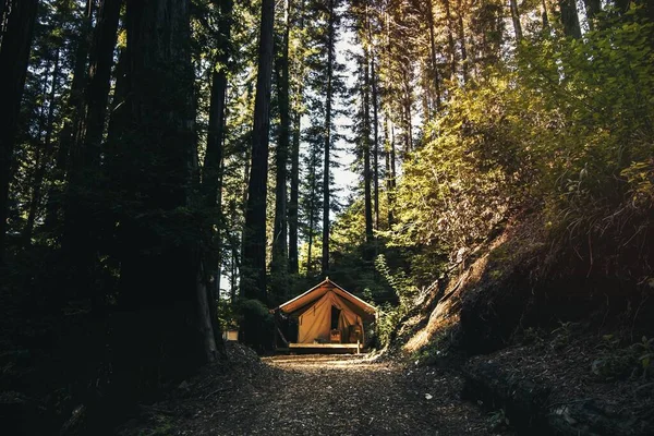 Camping Huis Redwoods Big Sur Californië — Stockfoto