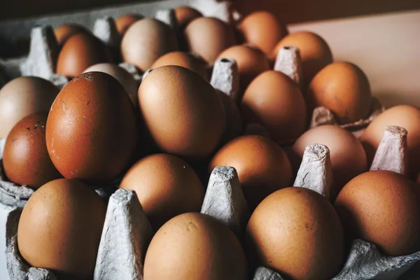 Eggs Carton — Stock Photo, Image