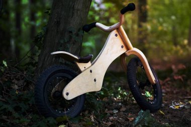 Karanlık bir ormanda terk edilmiş bisiklet.