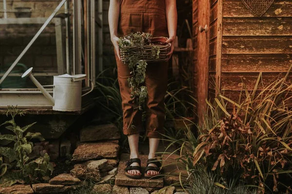 stock image Woman standing in front of the shed with houseplant