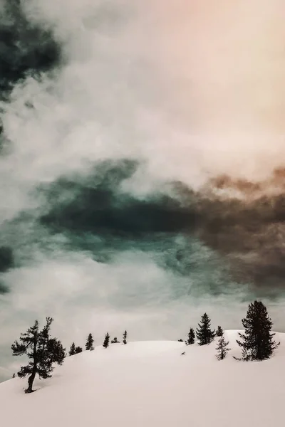 Χειμερινό Χιόνι Αντίθεση Πράσινα Δέντρα Και Τον Ουρανό — Φωτογραφία Αρχείου