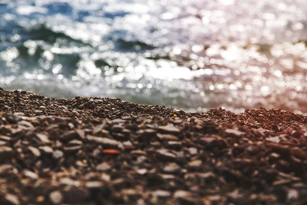 Doğada Deniz — Stok fotoğraf