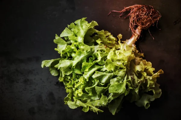 Luchtfoto Van Verse Groene Eiken Salade Zwarte Achtergrond — Stockfoto