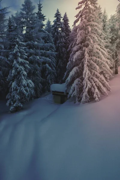 Χειμερινές Ορεινό Τοπίο Στις Άλπεις — Φωτογραφία Αρχείου