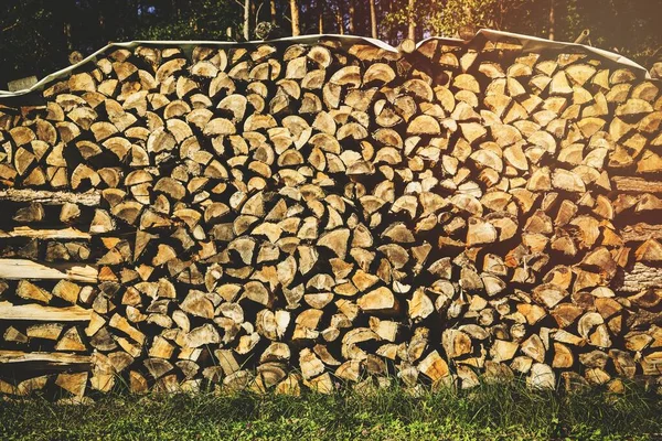 Stack Firewood — Stock Photo, Image