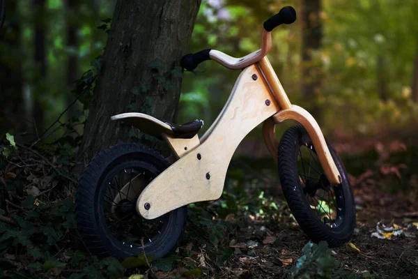 暗い森の中で放置自転車 — ストック写真