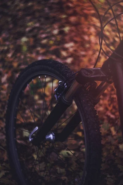 自転車用タイヤの閉まり — ストック写真