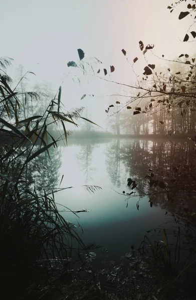 Morning Mist Lake — Stock Photo, Image