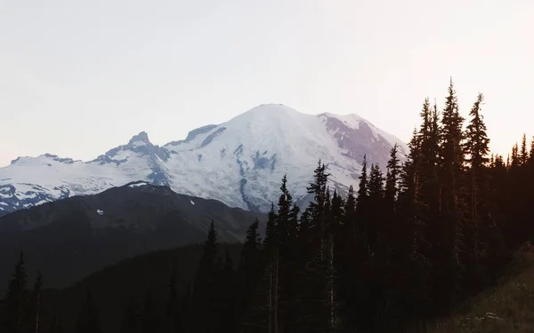 Vista Parque Nacional Mount Rainier Washington Eua — Fotografia de Stock
