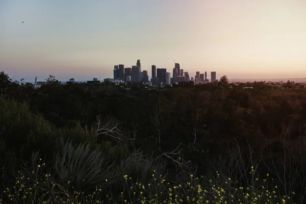 Widok Miasto Los Angeles Daleka Tle — Zdjęcie stockowe