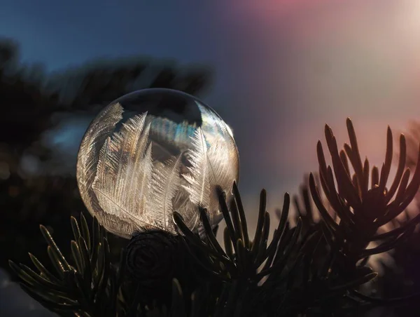 Glaskugel Einer Winterlandschaft — Stockfoto