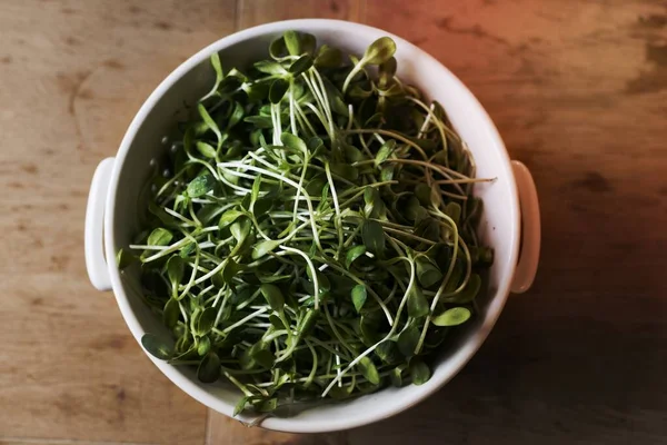 Sunflower Sprouts White Bowl — Stock Photo, Image