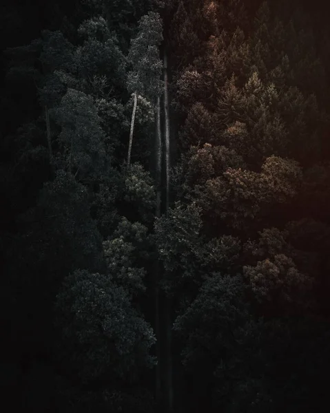 Luftaufnahme Einer Straße Wald Von Vaihingen Der Enz Deutschland — Stockfoto