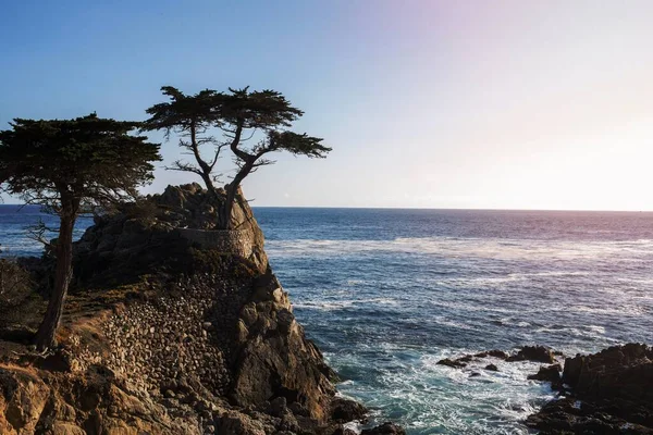 海の水の近くの崖の緑の木 — ストック写真