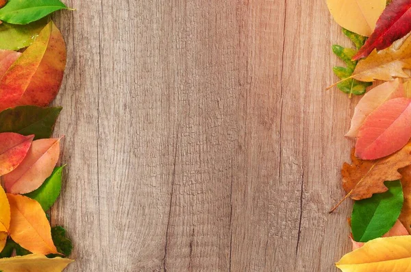 Verschiedene Blätter Auf Brauner Holzoberfläche — Stockfoto